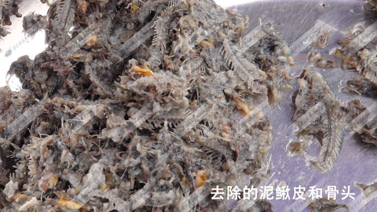 ȥ�������q�Ǻ����qƤ-�����q��-�M�ƙCе