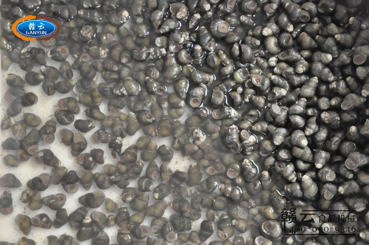 �͑��]�ĵ����ݘ�Ʒ