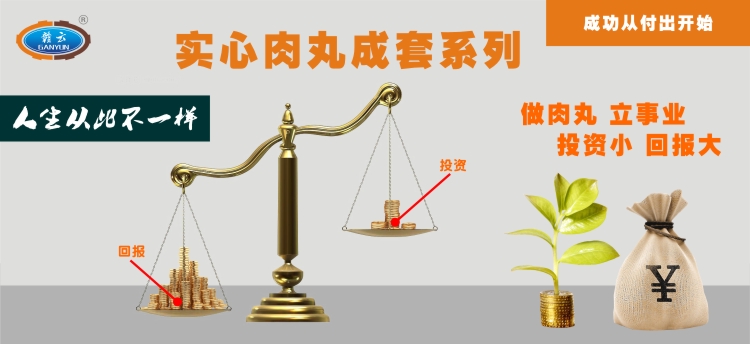 實心肉丸成套設備,讓你從此不一樣