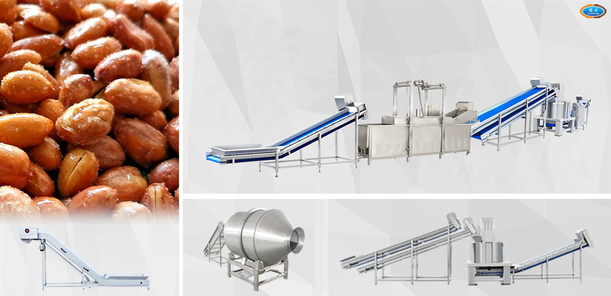 油炸花生技術解決方案設備展示 油炸花生技術解決方案設備展示