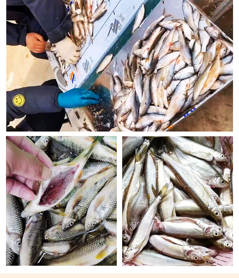 ��С�~�C�F�����~����